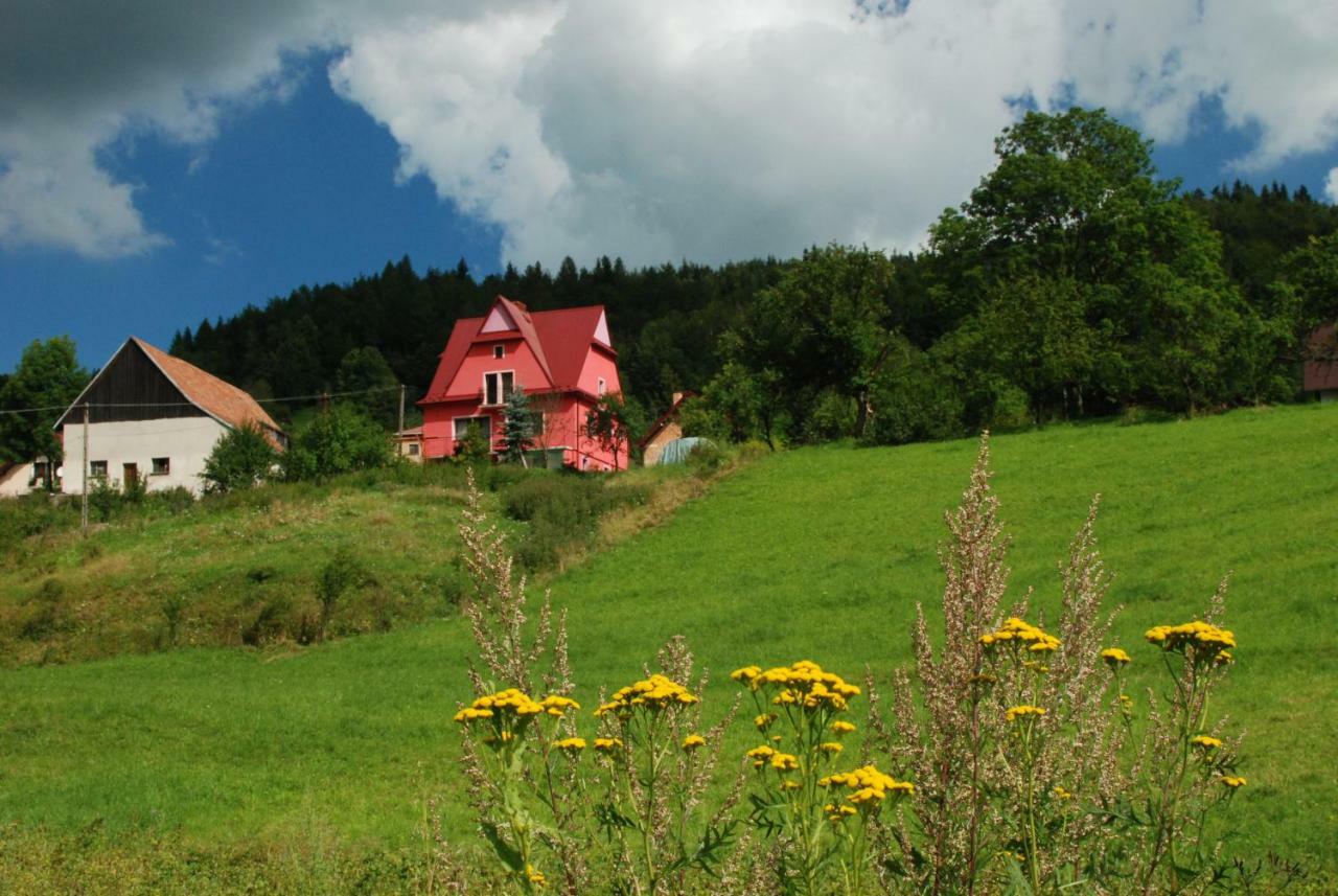 Malinowy Domek Villa Mlynczyska Buitenkant foto