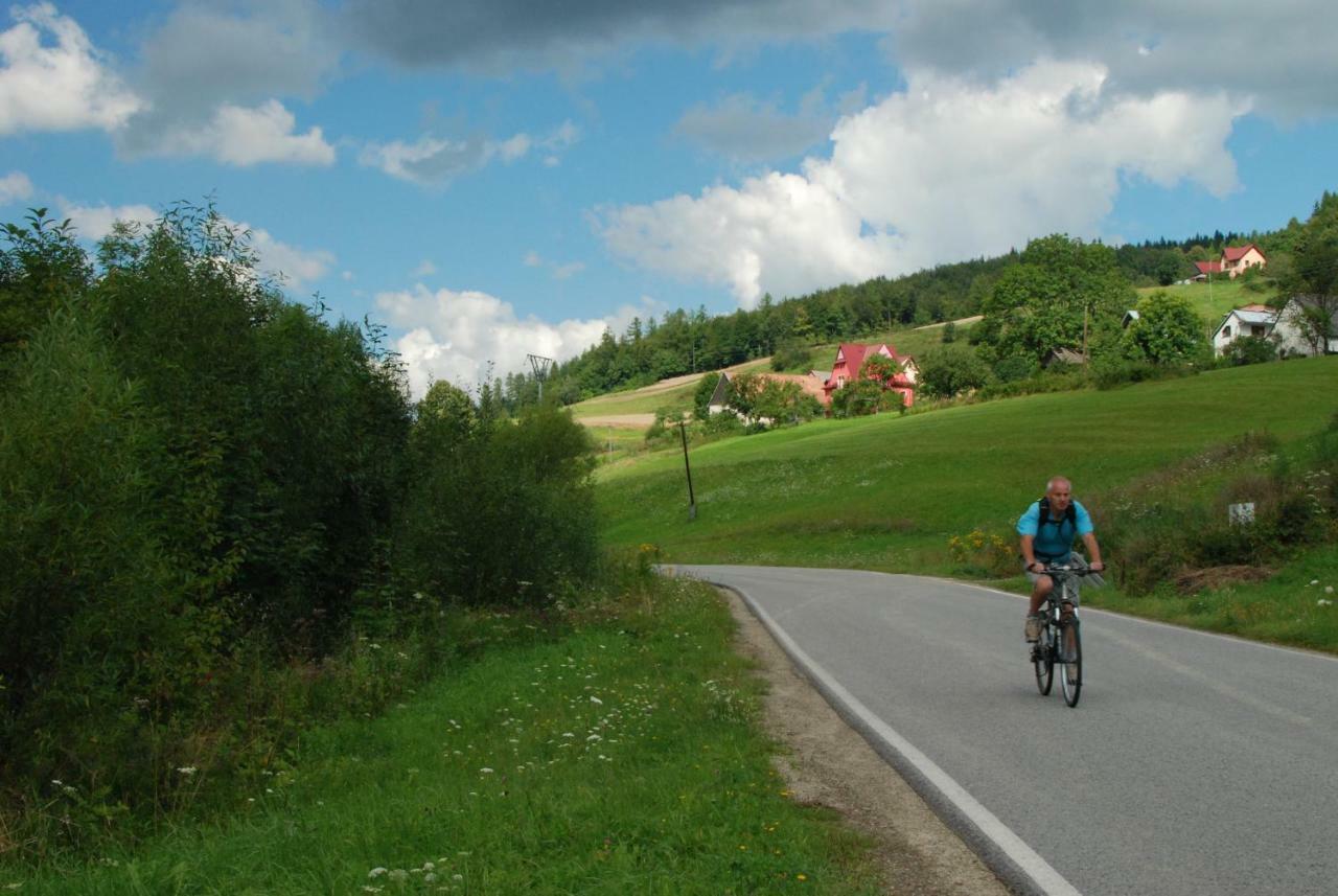 Malinowy Domek Villa Mlynczyska Buitenkant foto