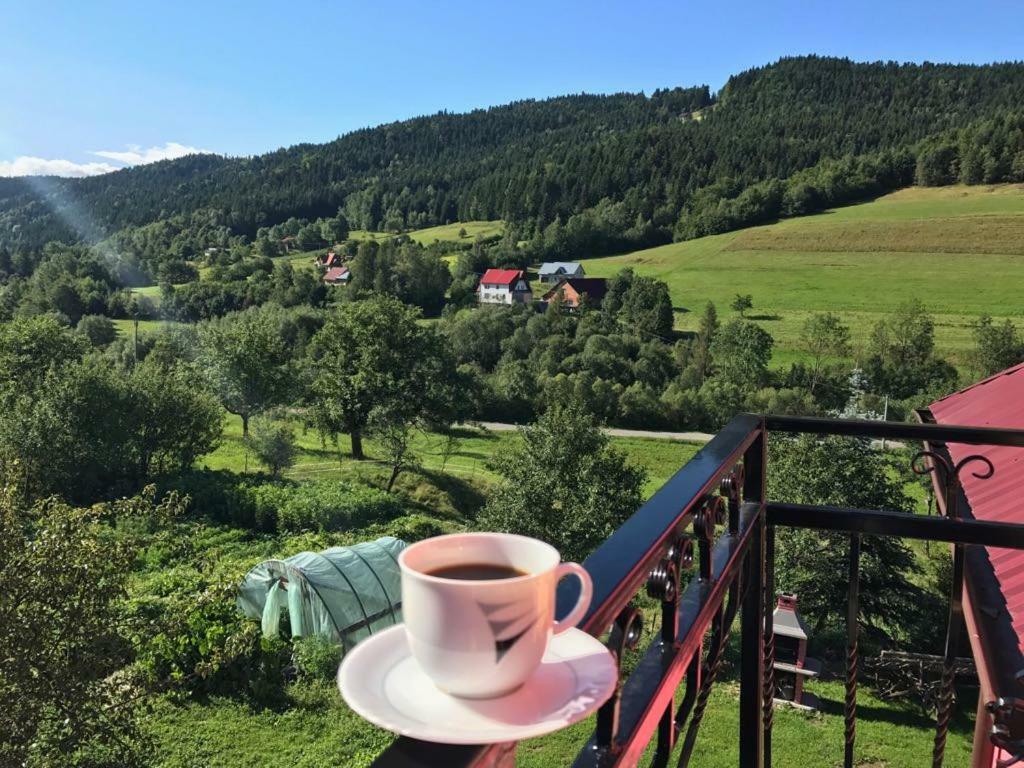 Malinowy Domek Villa Mlynczyska Buitenkant foto