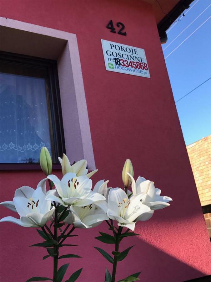 Malinowy Domek Mlynczyska Buitenkant foto