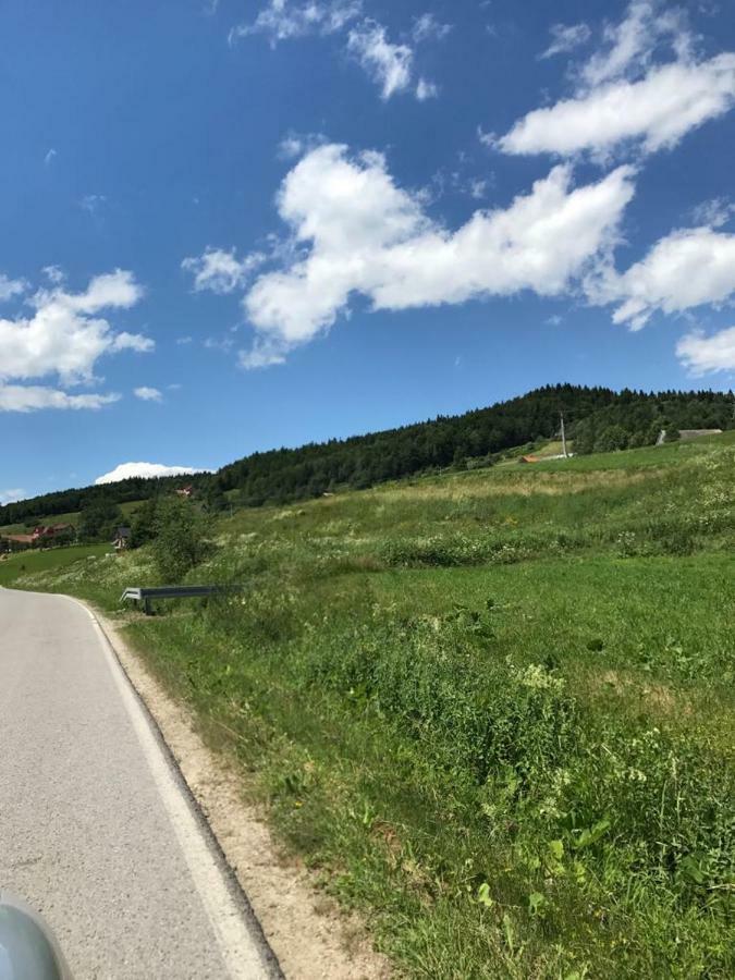 Malinowy Domek Mlynczyska Buitenkant foto