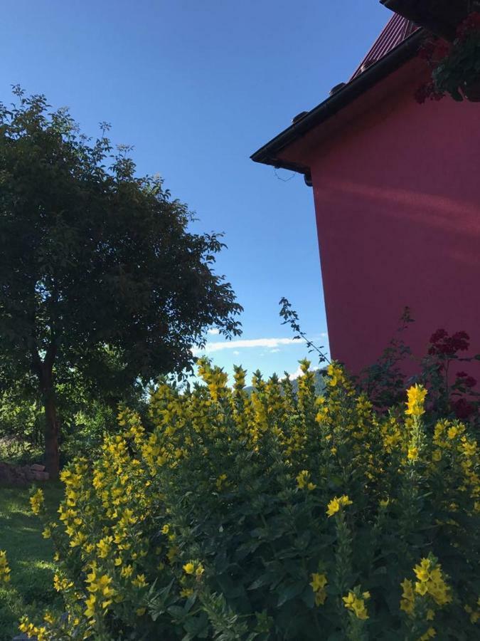 Malinowy Domek Mlynczyska Buitenkant foto