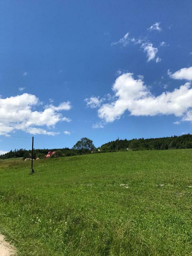 Malinowy Domek Mlynczyska Buitenkant foto