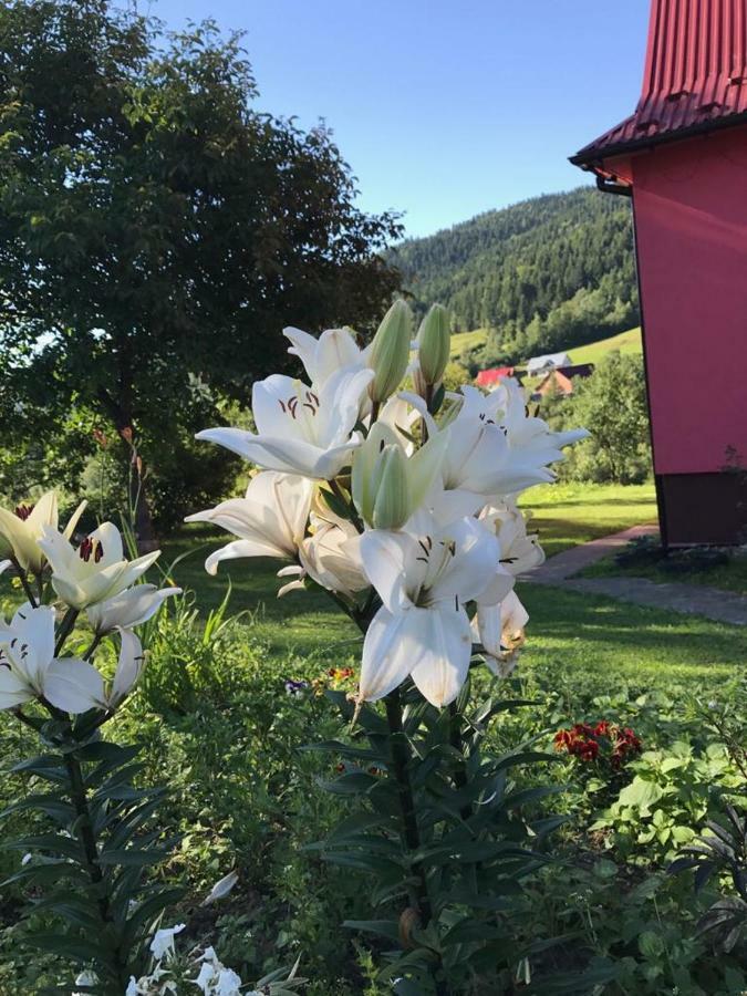 Malinowy Domek Villa Mlynczyska Buitenkant foto