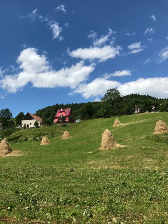 Malinowy Domek Villa Mlynczyska Buitenkant foto